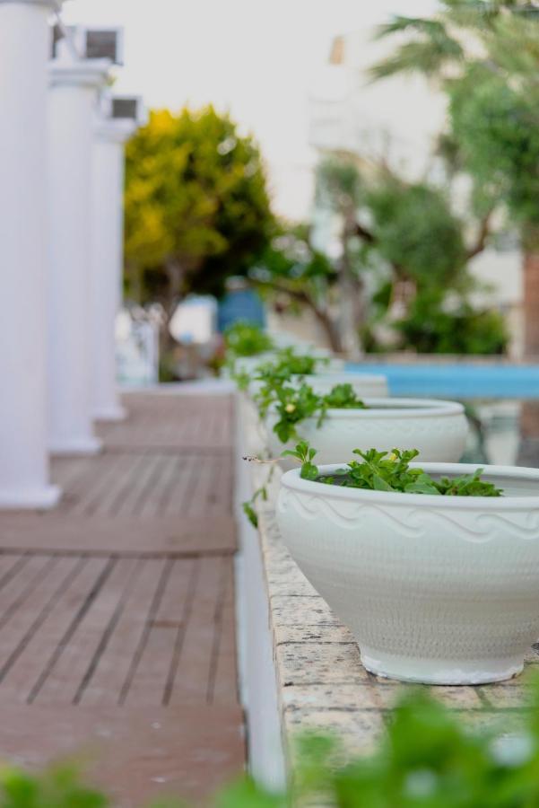 Olive Grove Beachfront & Seaview (adults Only) 3* Kávos